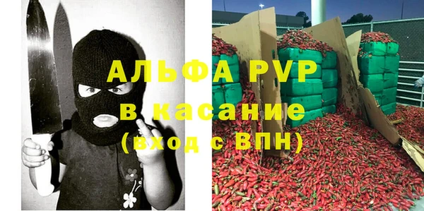 прущие грибы Алзамай