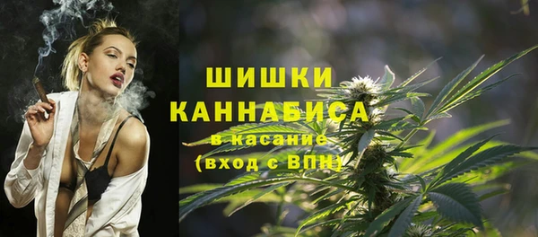 прущие грибы Алзамай