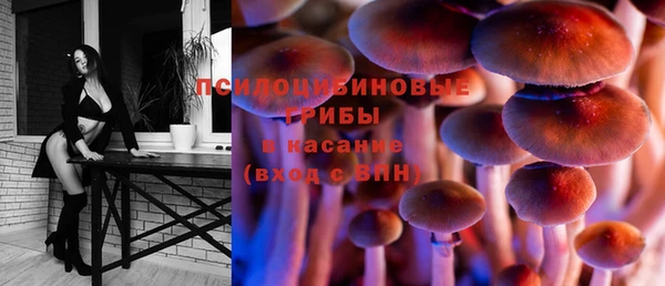 синтетический гашиш Алексеевка